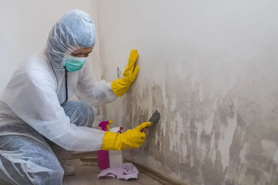 water damage restoration service Brookside Gardens